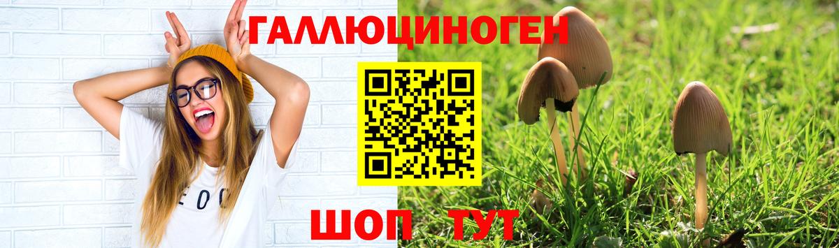 Псилоцибиновые грибы GOLDEN TEACHER Холмск